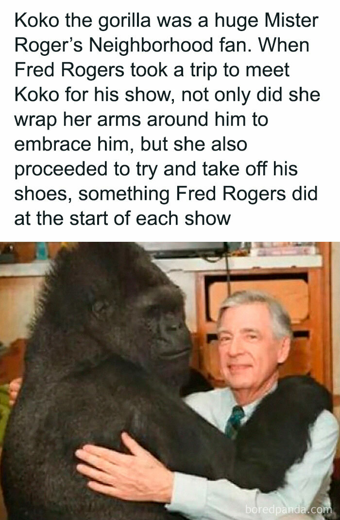 Gorilla embracing a man, showcasing hilarious moments relatable to Gen X life.