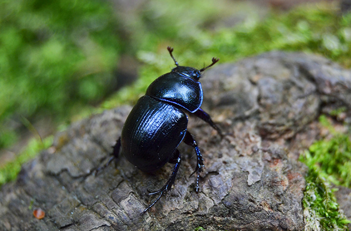30 Pequeños detalles que hicieron sonreír a la gente