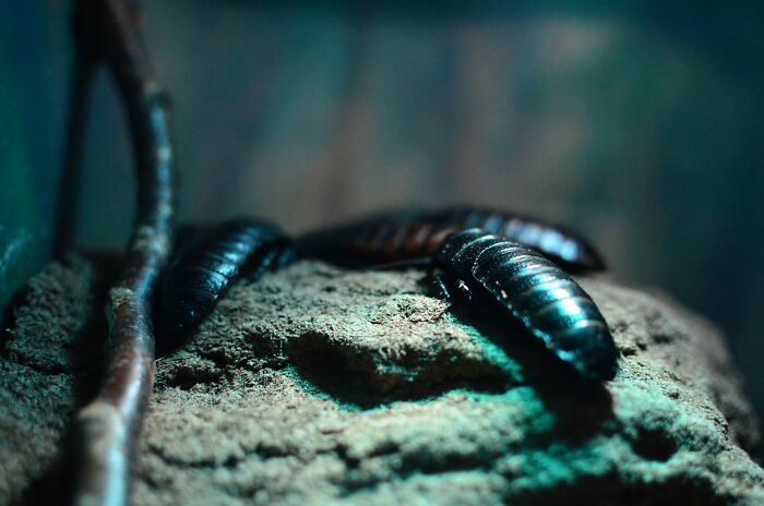 Waste Collectors Share 27 Trashy Things That People Do To Unintentionally Upset Them