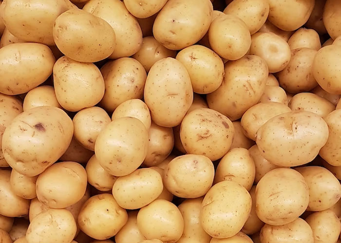 "I Raised An Idiot": 30 Parents Share Their Kids' Dumbest Moments