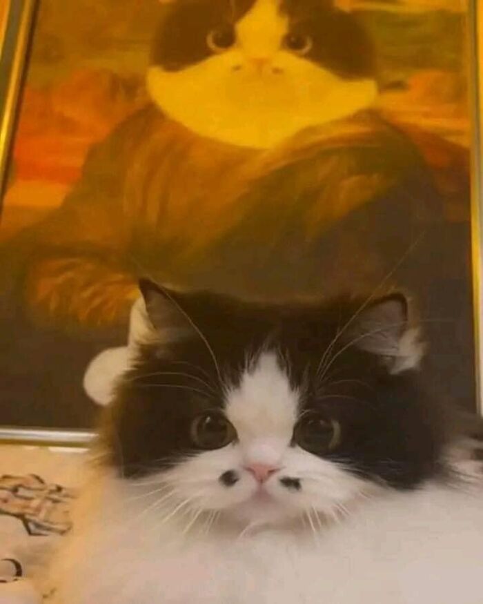 50 Times People Spotted Animals In Places They Shouldn't Be And Just Had To Document It