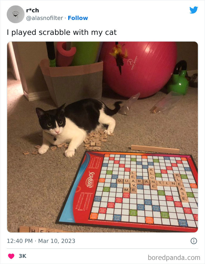 Bbc-Pandemic-Mental-Health-Crisis-Tweet-Funny-Responses