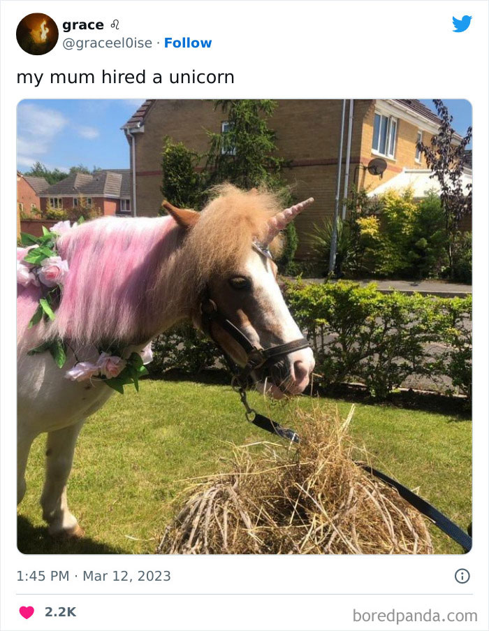 Bbc-Pandemic-Mental-Health-Crisis-Tweet-Funny-Responses