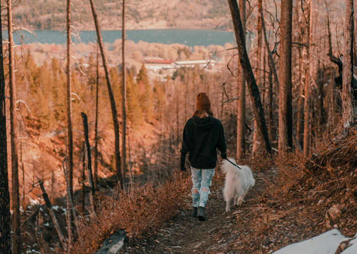 &ldquo;She Never Barks And Is The Best Hiking Buddy Ever&rdquo;: Guy Has Had His Friend&rsquo;s Dog For 2.5 Years When Friend Asks Him To Ship Her Back, Guy Refuses