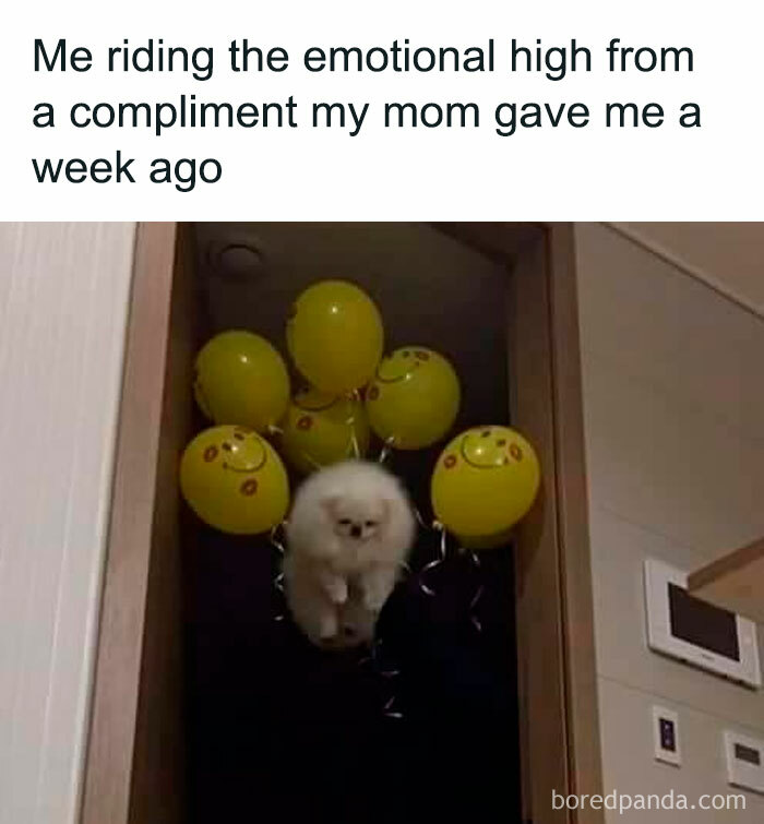 Funny-Animal-Memes-Awkwardanimals