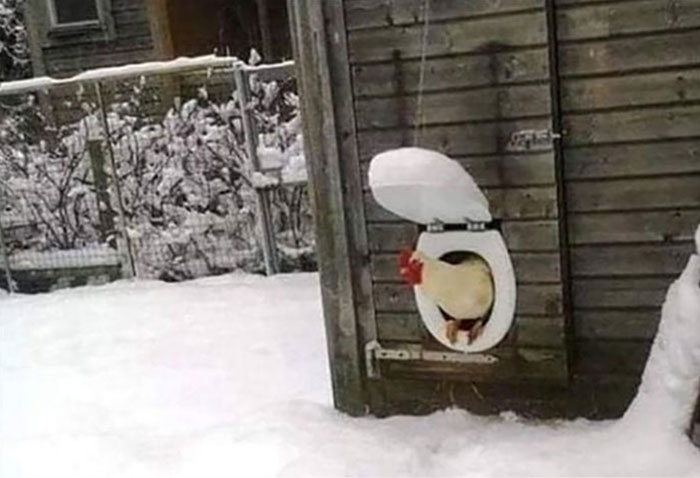 Random-Weird-Pictures-By-Things-In-Places