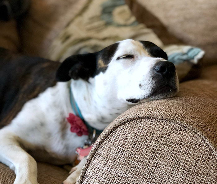 30 Pequeños detalles que hicieron sonreír a la gente