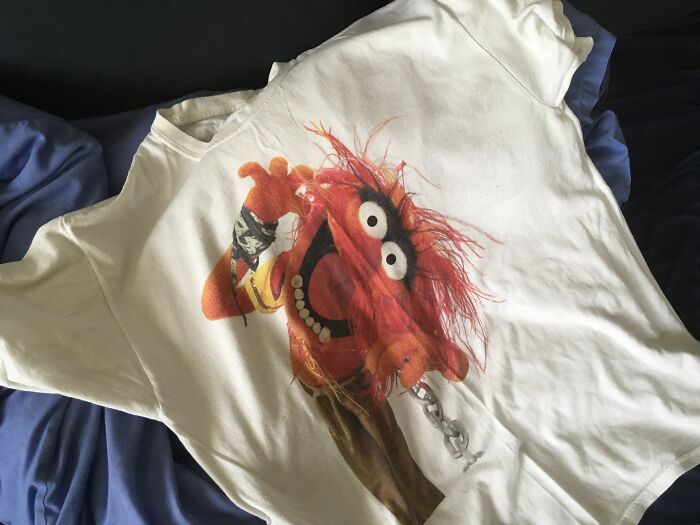 Drummer From Electric Mayhem