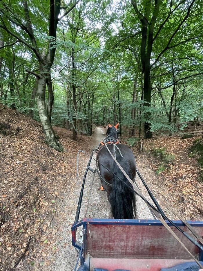 As Long As I Have This View, I'm Happy