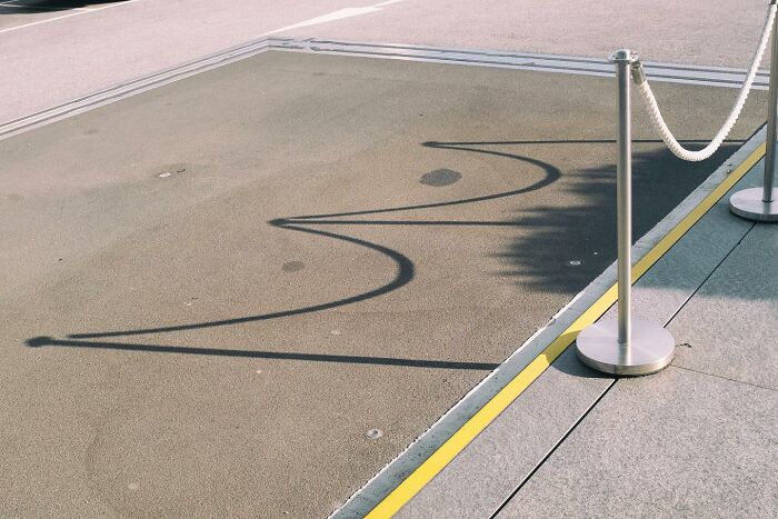 39 New Unreal Yet Real Pictures That Were Taken At The Right Time And Place