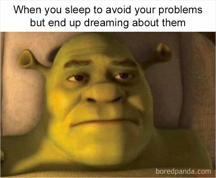 Self-Deprecating-Memes-Personally-Attacked