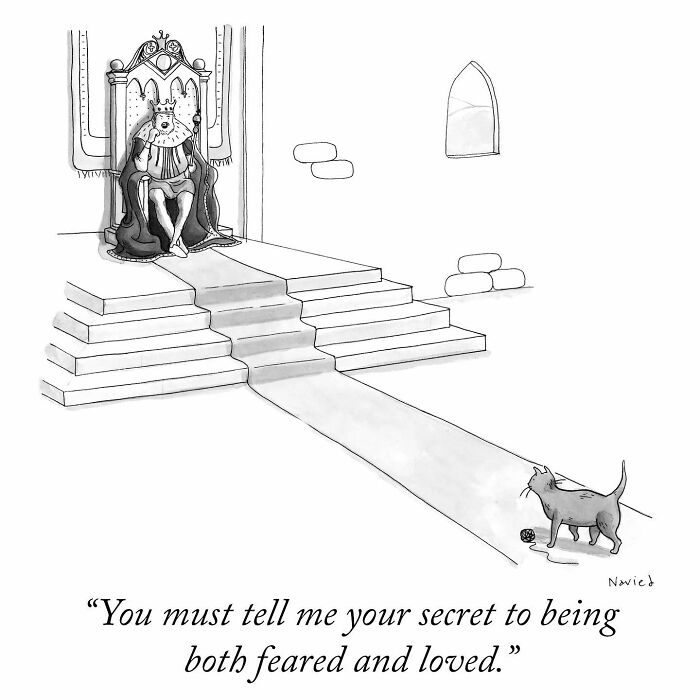 New Yorker Cartoonist Draws Funny, Smart (Ridiculous. Yet Totally Relatable)