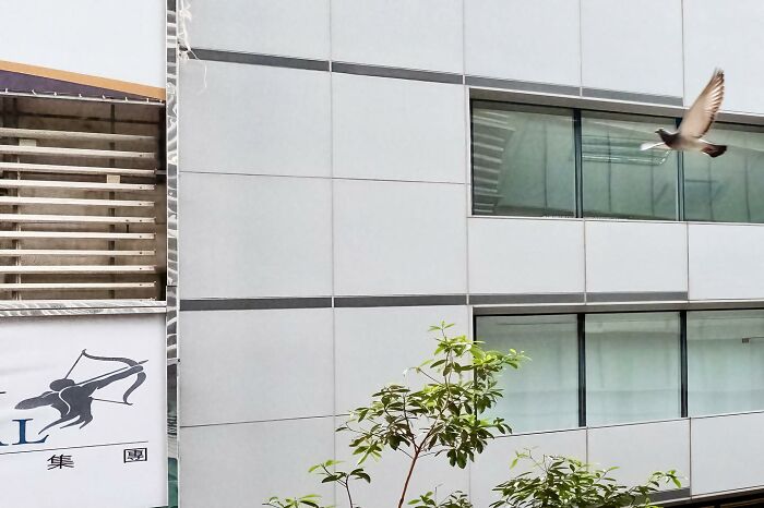 39 New Unreal Yet Real Pictures That Were Taken At The Right Time And Place