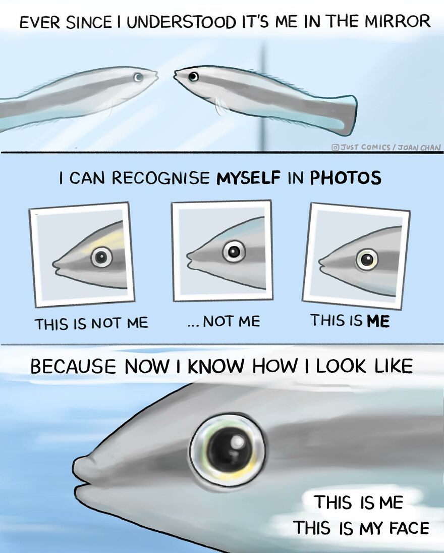 New Heartbreaking Comics About Animal Abuse And Factory Farming By Joan Chan New Heartbreaking Comics About Animal Abuse And Factory Farming By Joan Chan