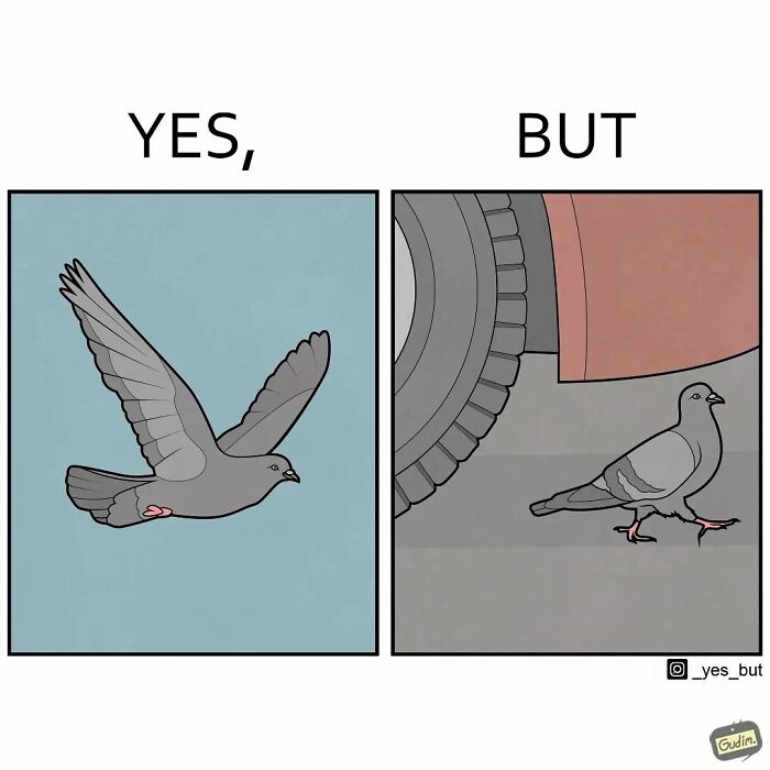 Artist Creates Sarcastic Comics That Show Different Perspectives On Things (57 New Pics)