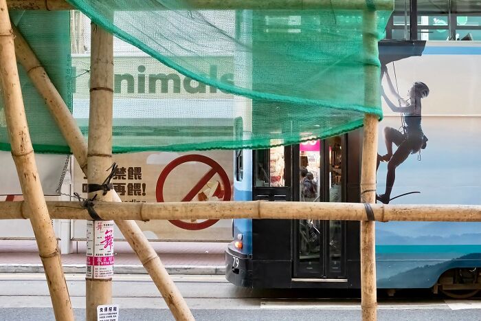 39 New Unreal Yet Real Pictures That Were Taken At The Right Time And Place