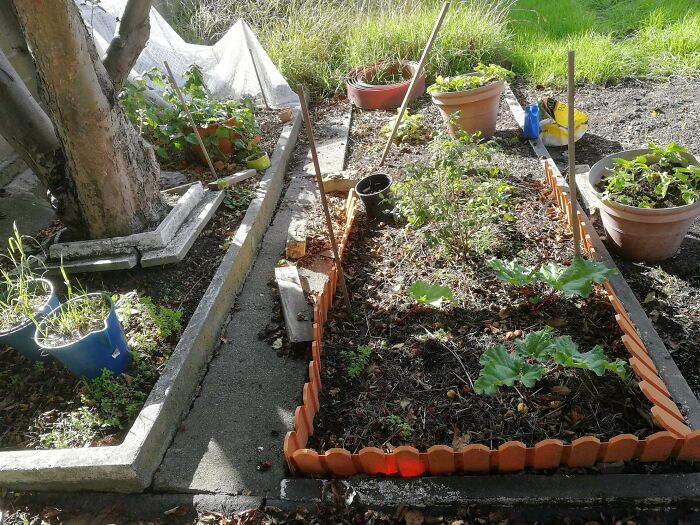 Work In Progress, But Coming Along Nicely