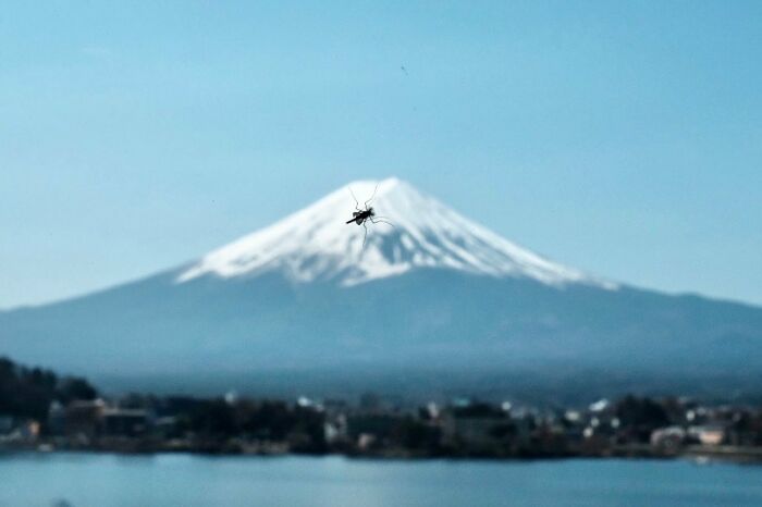 39 New Unreal Yet Real Pictures That Were Taken At The Right Time And Place