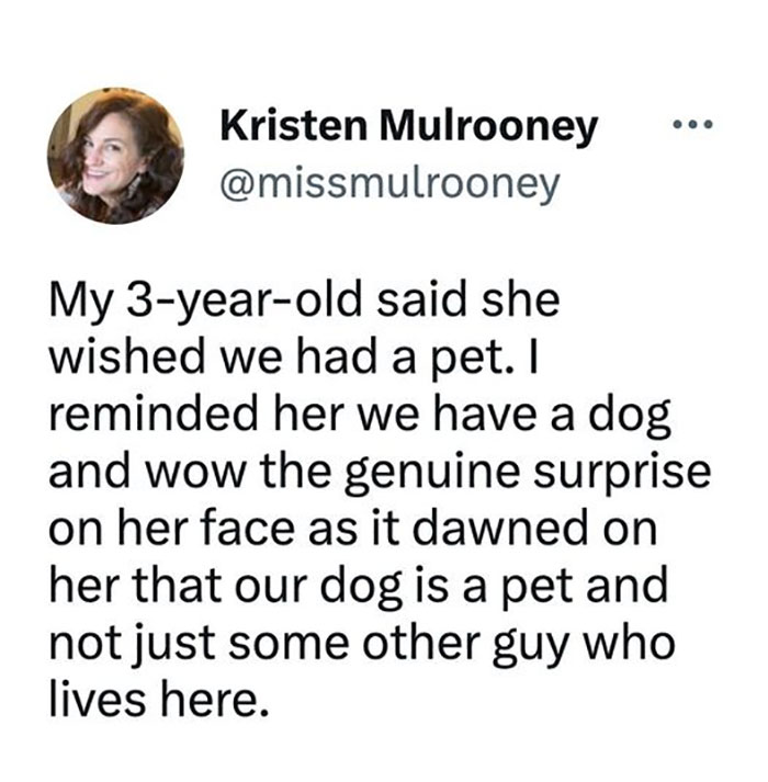 Funny-Animal-Memes-Awkwardanimals