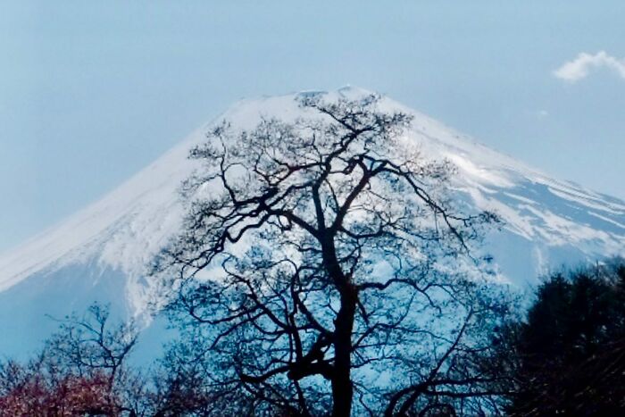 39 New Unreal Yet Real Pictures That Were Taken At The Right Time And Place