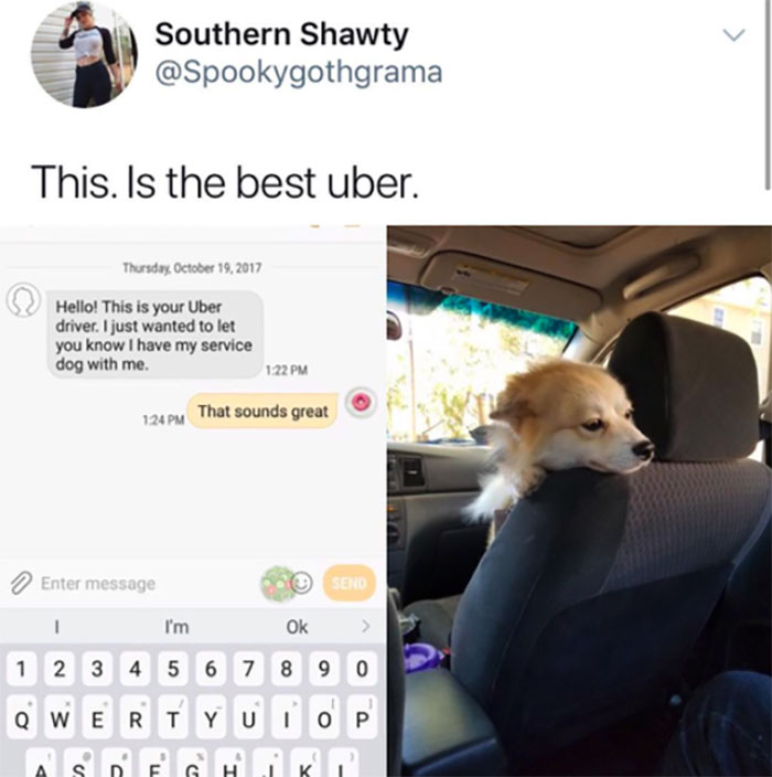 Funny-Animal-Memes-Awkwardanimals