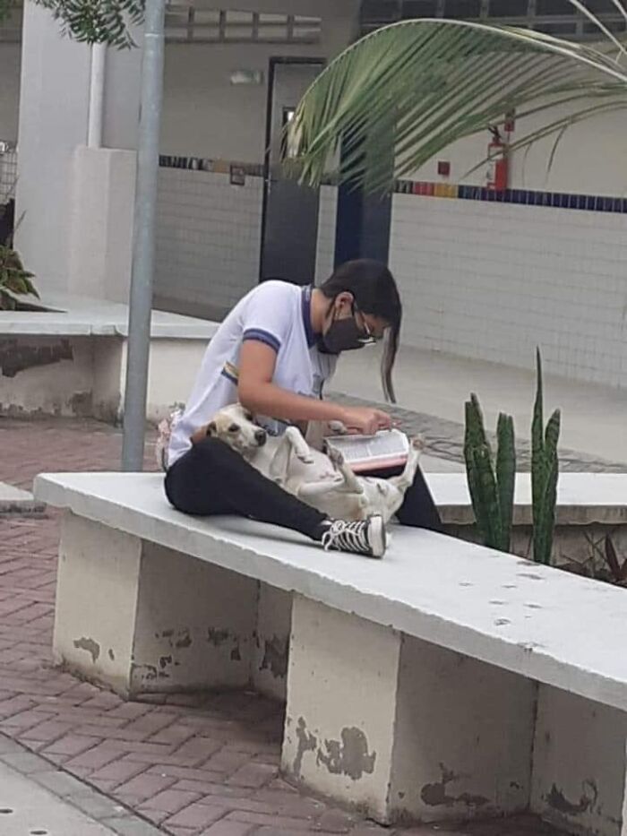 50 Times People Spotted Animals In Places They Shouldn't Be And Just Had To Document It