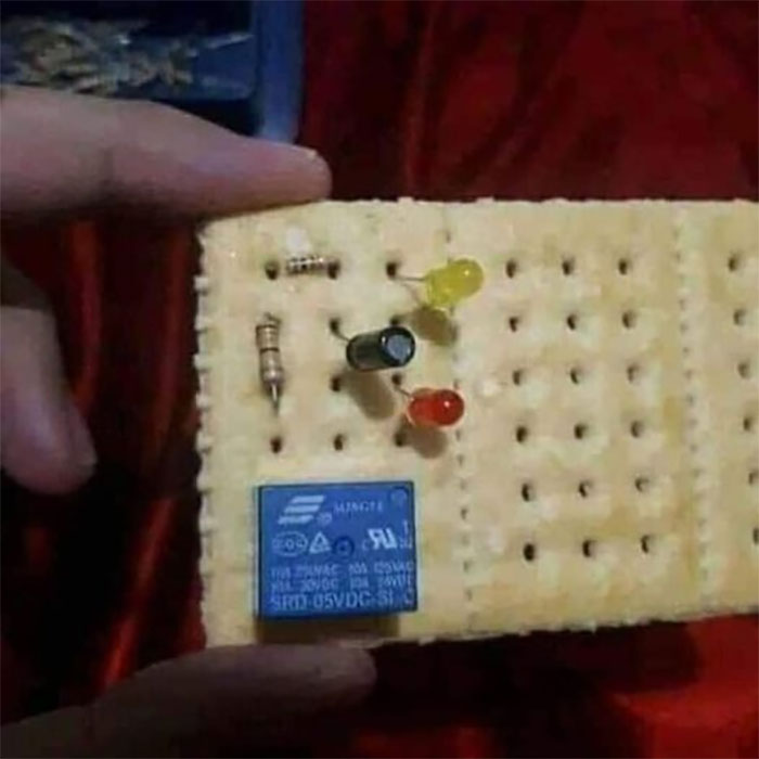 Random-Weird-Pictures-By-Things-In-Places