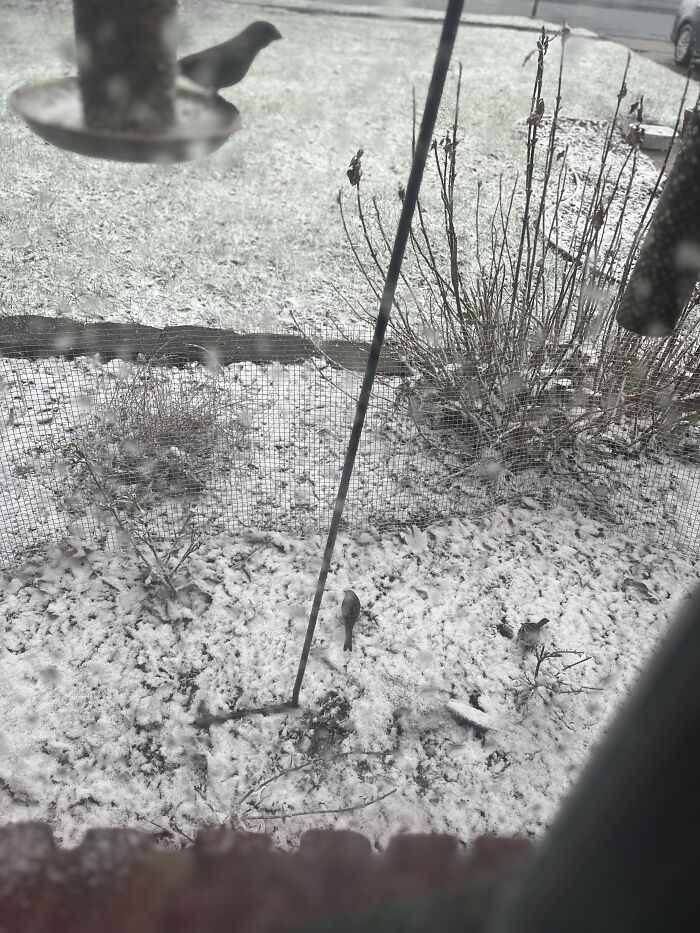 Outside My Window. Taken With My “Mom’s” iPhone 13