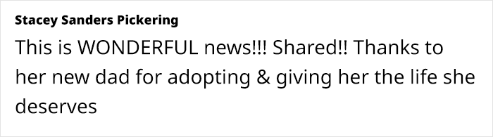 Resilient Shelter Dog Finally Finds Forever Home After Heart-Wrenching Anniversary Video Goes Viral