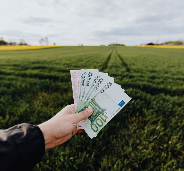 Fan of euro banknotes held over a green field, symbolizing giveaway.
