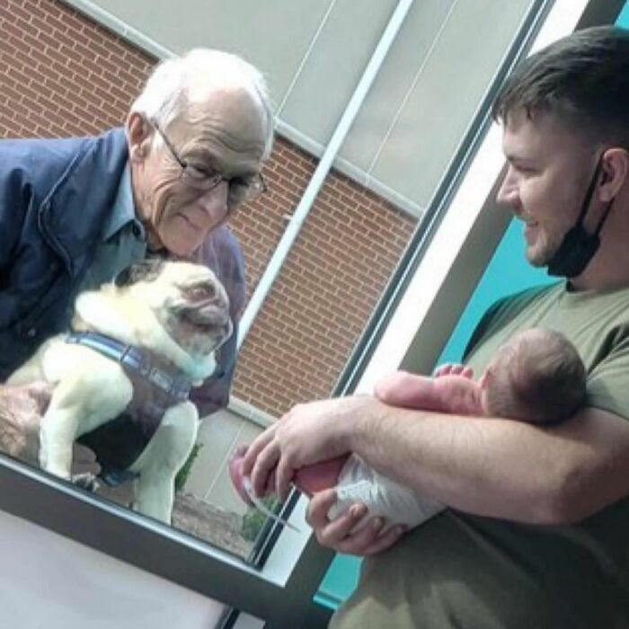 50 Times People Spotted Animals In Places They Shouldn't Be And Just Had To Document It