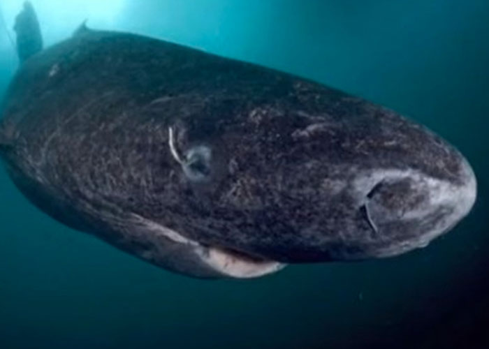 “You May Be Living In The Last Year Of Your Life”: 40 Disturbing Facts That You Might Be Better Off Not Knowing