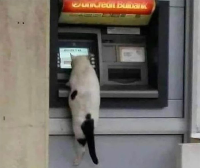 Random-Weird-Pictures-By-Things-In-Places