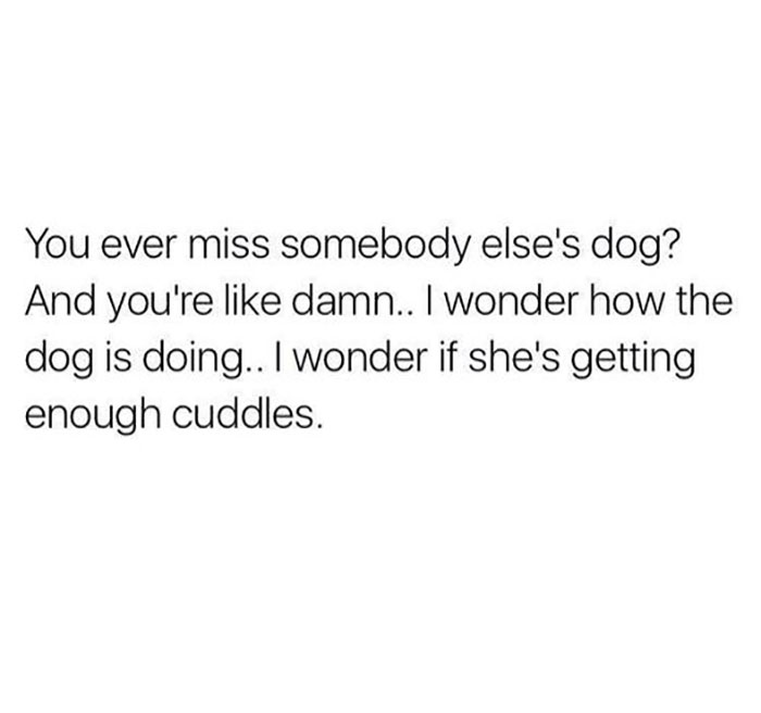 Funny-Animal-Memes-Awkwardanimals