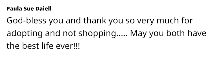 Resilient Shelter Dog Finally Finds Forever Home After Heart-Wrenching Anniversary Video Goes Viral