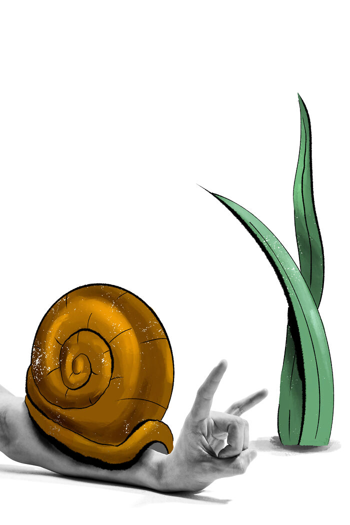 Snail