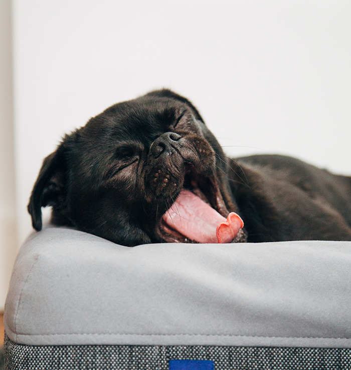 30 Pequeños detalles que hicieron sonreír a la gente