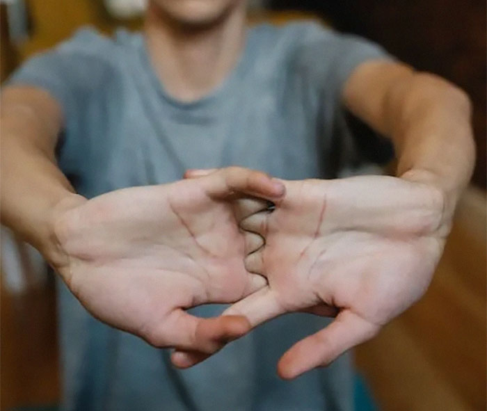 Someone Asks “What Is A Popular Belief That Has Been Scientifically Proven Wrong?” And People Deliver 30 Illuminating Responses