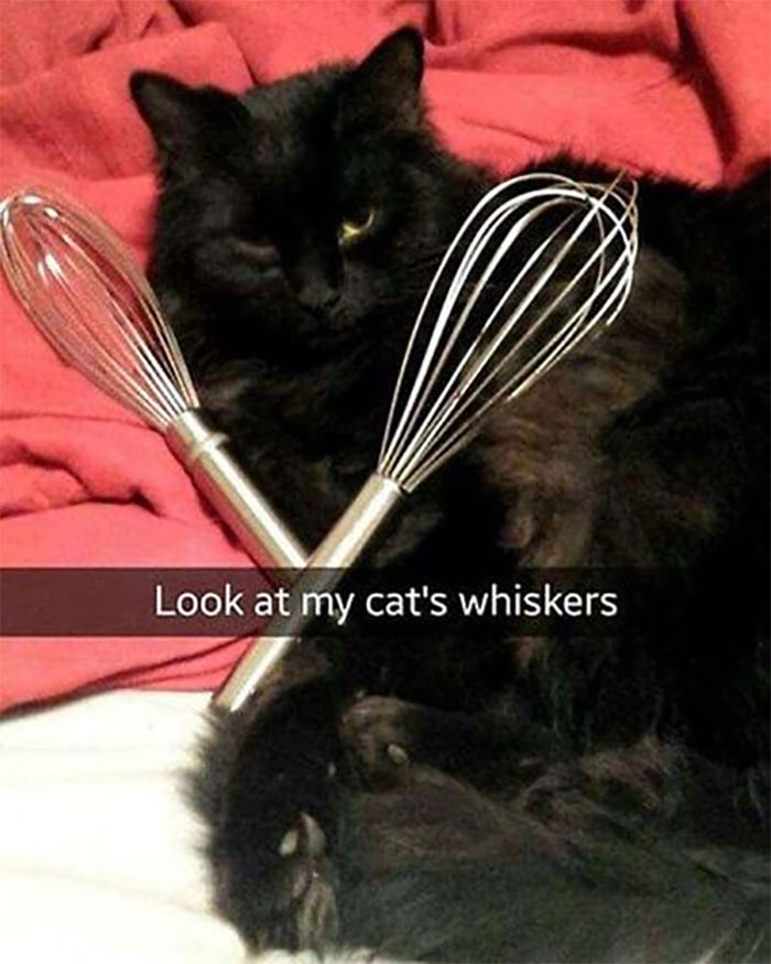 Random-Weird-Pictures-By-Things-In-Places