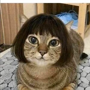 mlgoransdotter avatar