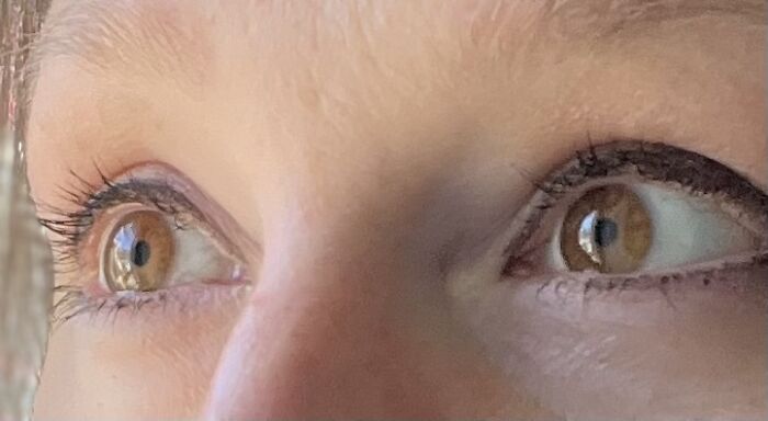 I Kind Of Look Like An Owl