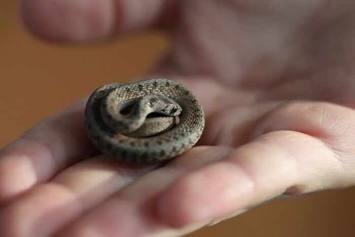 This Community For Pet Owners Helps Them To Understand If Their Pet’s Actually A Jerk (33 Examples)