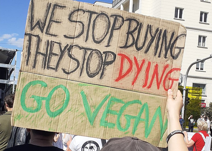 "She's Not A Vegan": Boyfriend Can't Take It Anymore, Calls Out Girlfriend On Her Lies