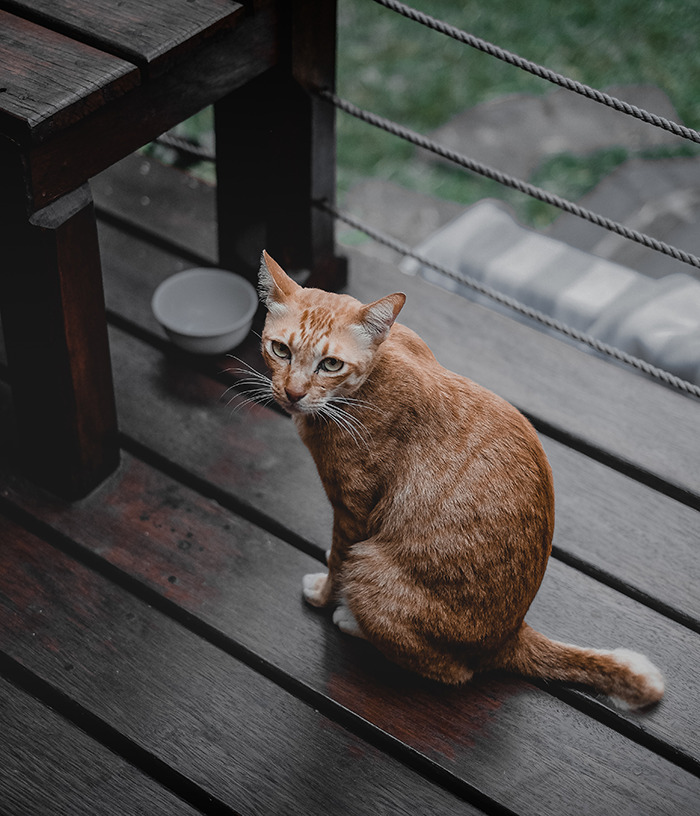 30 Pequeños detalles que hicieron sonreír a la gente