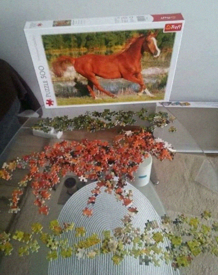 Interesting Puzzle Creation That Im Surprised Ive Never Seen