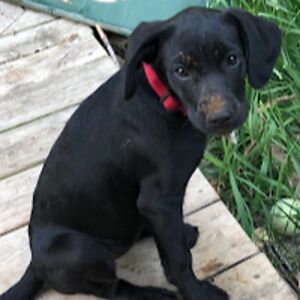 samanthajarman avatar