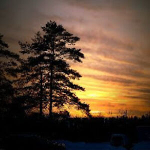 deepeshsoni_2 avatar