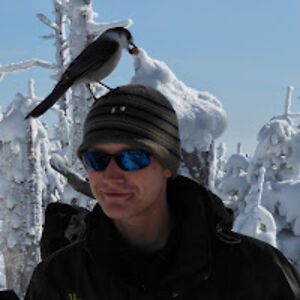 jeffmcnallytheblueb0mber avatar