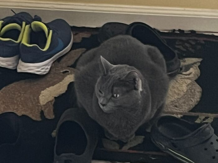 Safety Between The Shoes