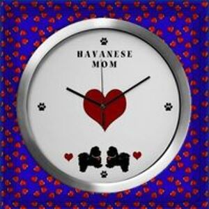 suegmeb avatar